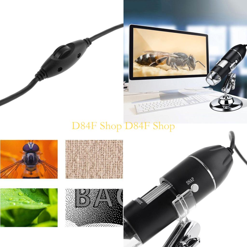 Usb Microscope Digital - D84F Multifunktions-1600X-3-in-1-Digitalmikroskop, 2 Adapter für Typ-C