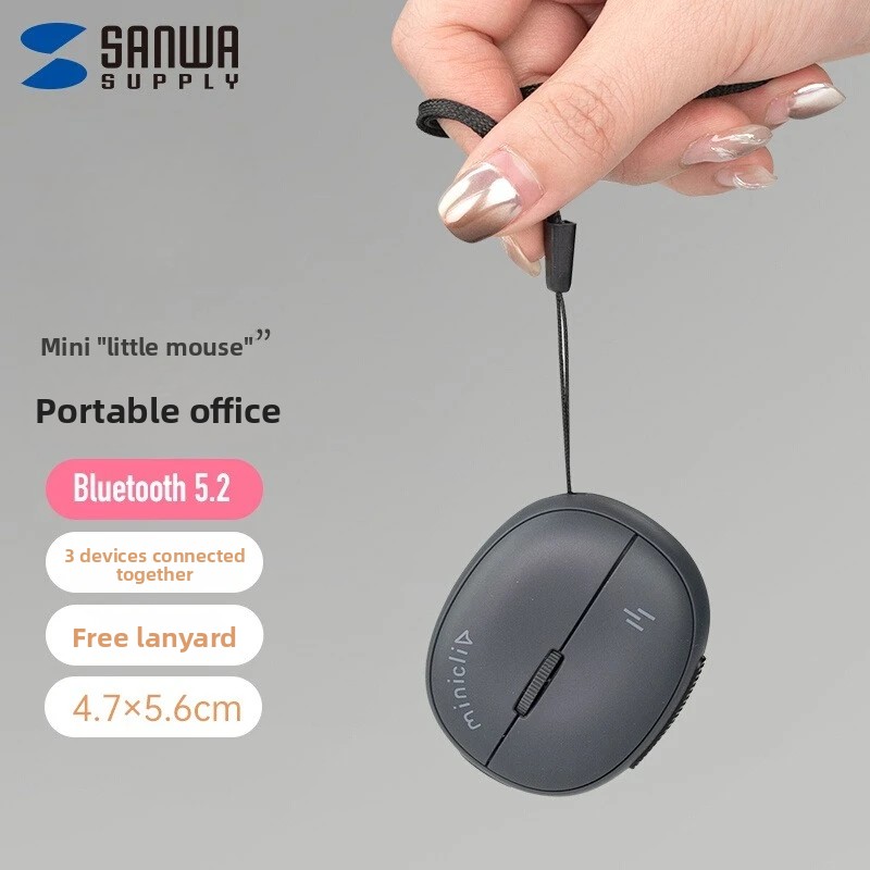 Angepasste SANWA Miniatur-Maus – Laser Pointer Presenter Bewertung und Preis